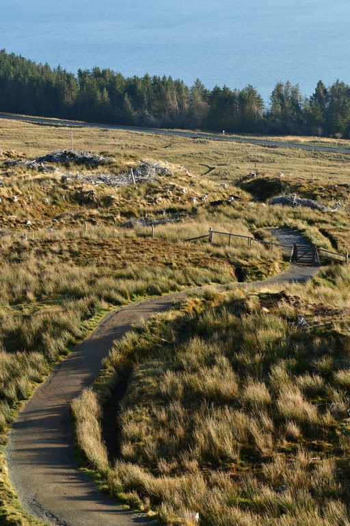 2018-11 Scotland/Old man or Storr/DSC_7447.JPG